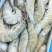 欧玛莎1.4大虾一件10盒新工艺海洋大虾