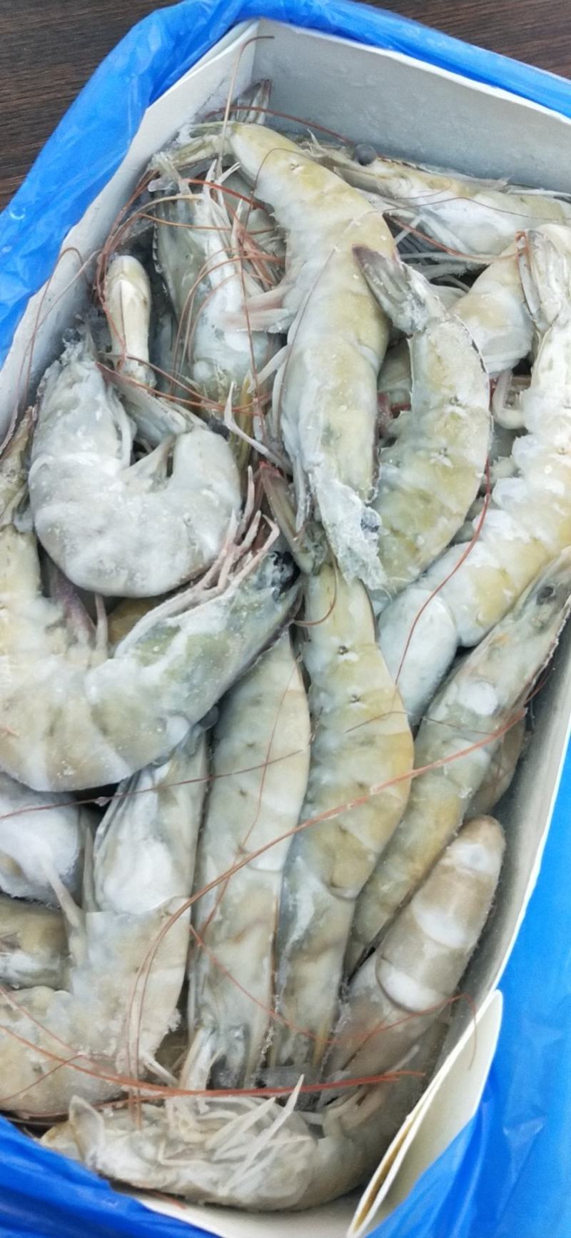 欧玛莎1.4大虾一件10盒新工艺海洋大虾