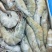 欧玛莎1.4大虾一件10盒新工艺海洋大虾