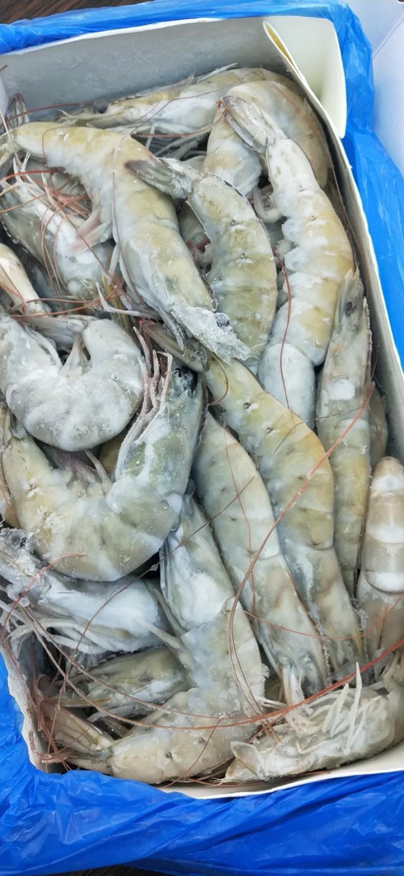 欧玛莎1.4大虾一件10盒新工艺海洋大虾