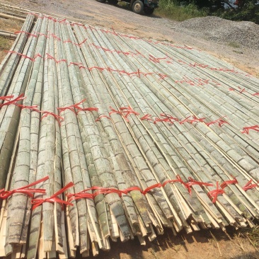 大量竹片出售，各种规格定制，量大从优，有需要的老板可以联