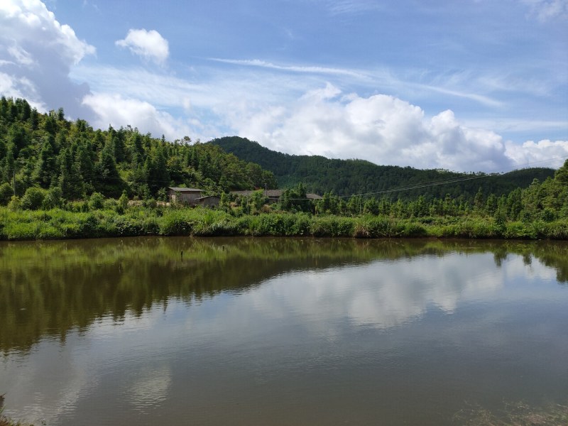 隐居地提供出租，周围有土地可种瓜果蔬菜有林子可以养小动物