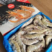 盐田大虾欧玛莎海水大虾1.5分量足全规格