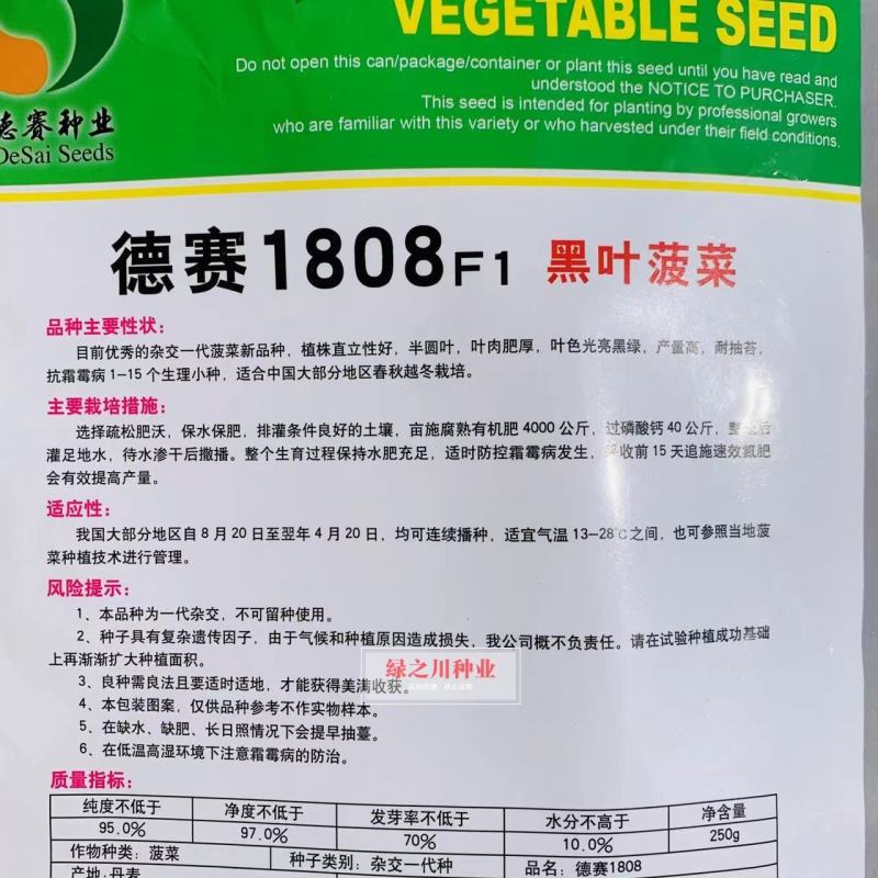 德赛1808黑叶菠菜种籽丹麦进口菠菜种子直立性好耐捆绑