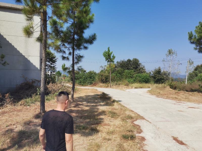 武汉周边废弃学校带六十亩平整土地出租或合作