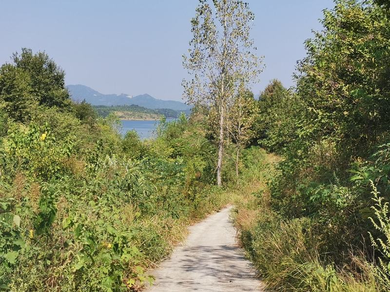 武汉周边废弃学校带六十亩平整土地出租或合作