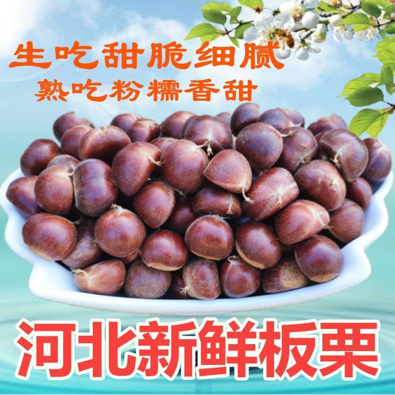 2025年迁西板栗正宗燕山生板栗3斤5斤油栗毛栗313
