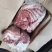 鲜带皮驴肉马肉颜色鲜出肉率高货源充足全程冷链运输