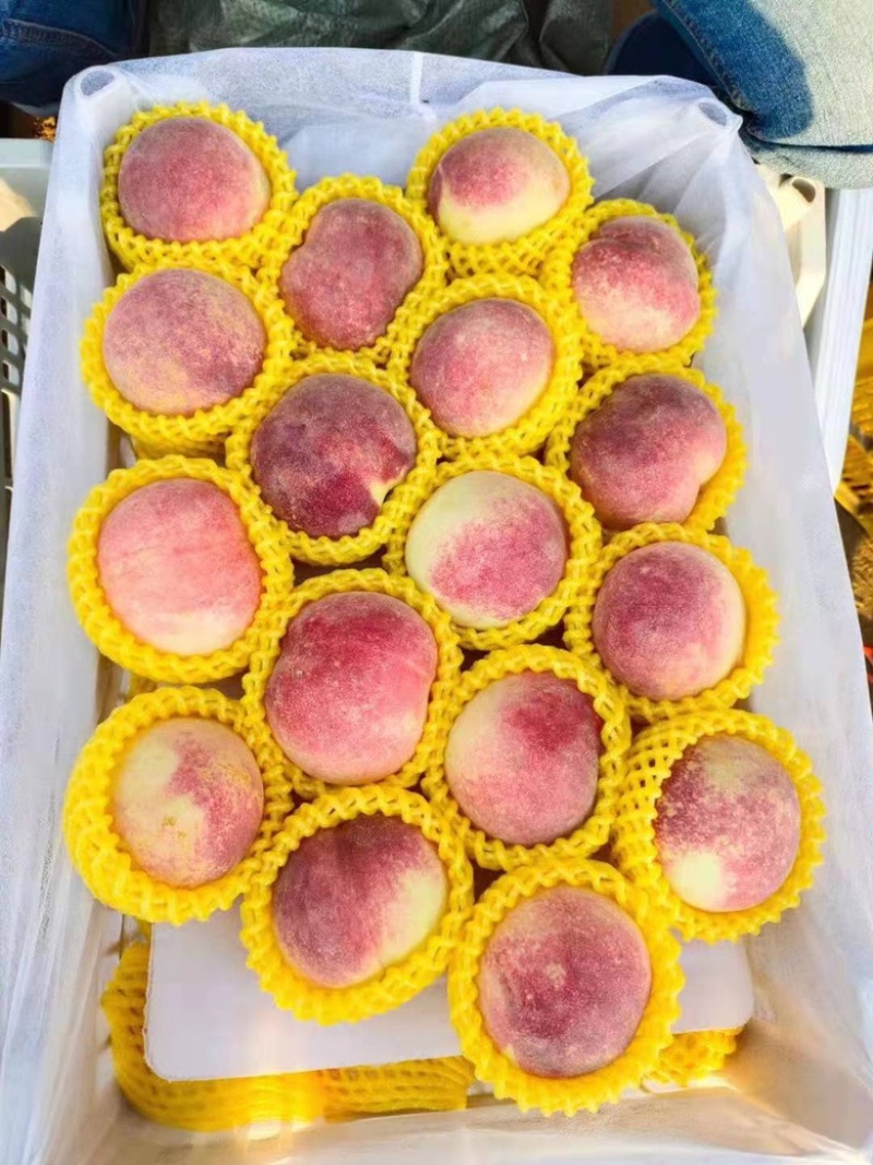 金秋红蜜
