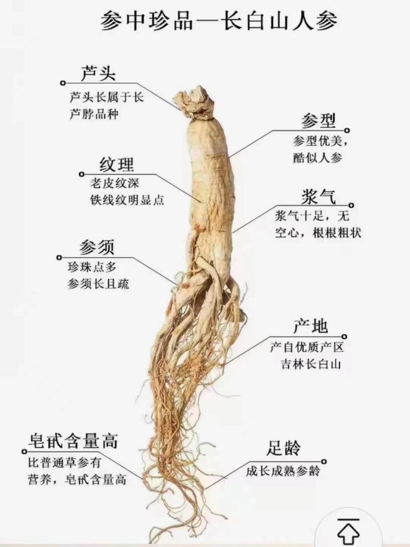东北特产