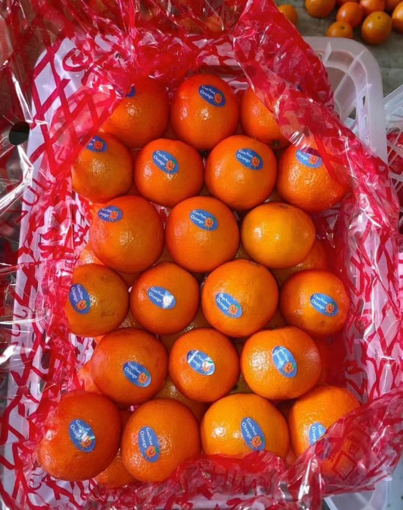 各种品种级别水果都有，大量现货质量保证运输方便