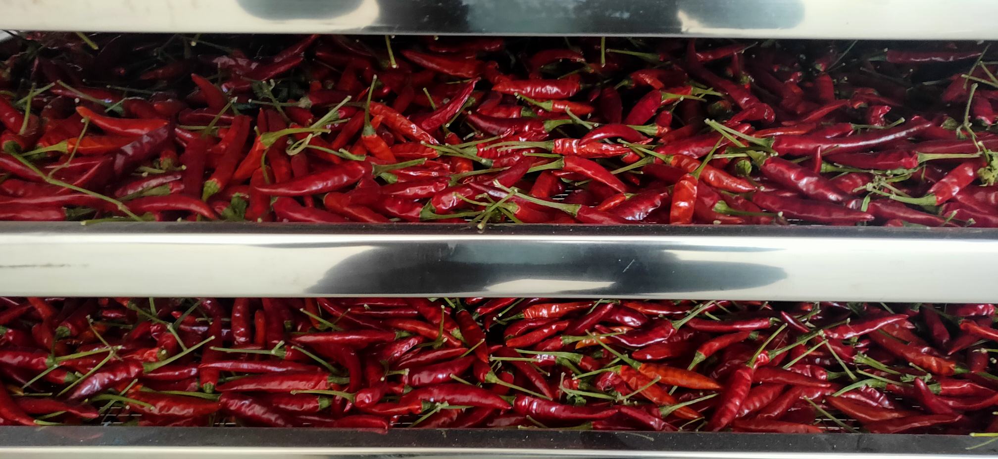 干辣椒干货分享：从挑选到保存的全面指南