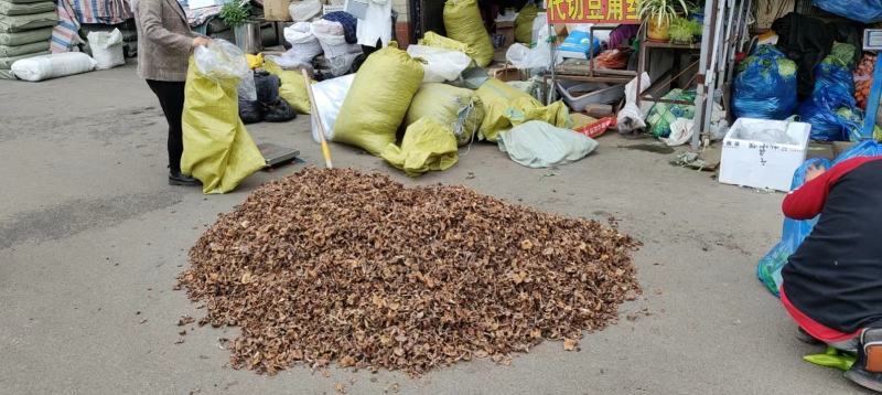 榛蘑东北榛蘑，烤干榛蘑，产地货源质量好，价格优，电联洽谈