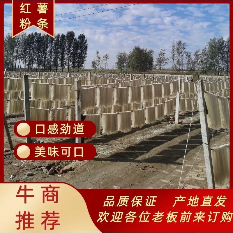 【推荐】临沭粉条纯红薯粉条口感爽滑劲道耐煮经济实惠