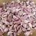 红根蒜苗种子丰县大蒜种子产地川蒜二月早现货精品质优