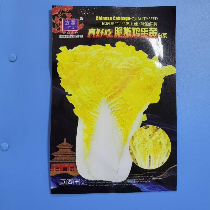 鸡蛋黄白菜种子农田菜园高产蔬菜春秋四季耐湿耐热黄心白菜种