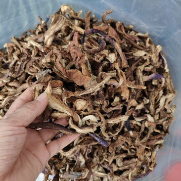 茄子干，茄子条。长期供应。餐饮酒店配送公司。加工厂走江湖