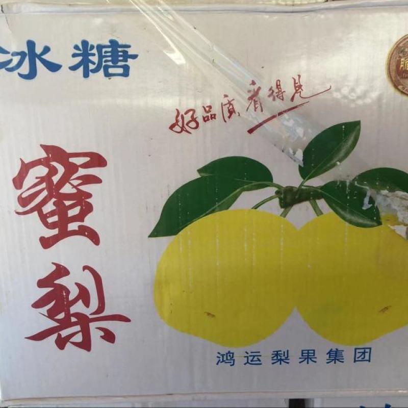 【AJ】山西蜜梨