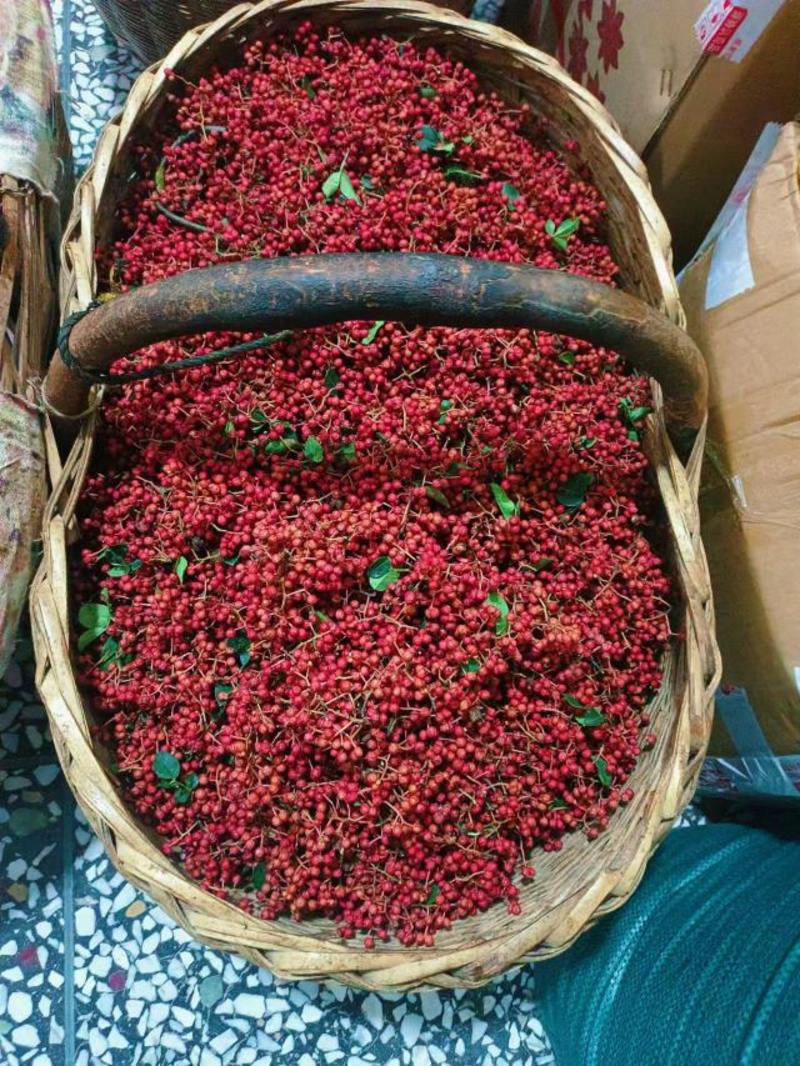2023年渭南富平产大红袍花椒产地地一手货源，麻香十足