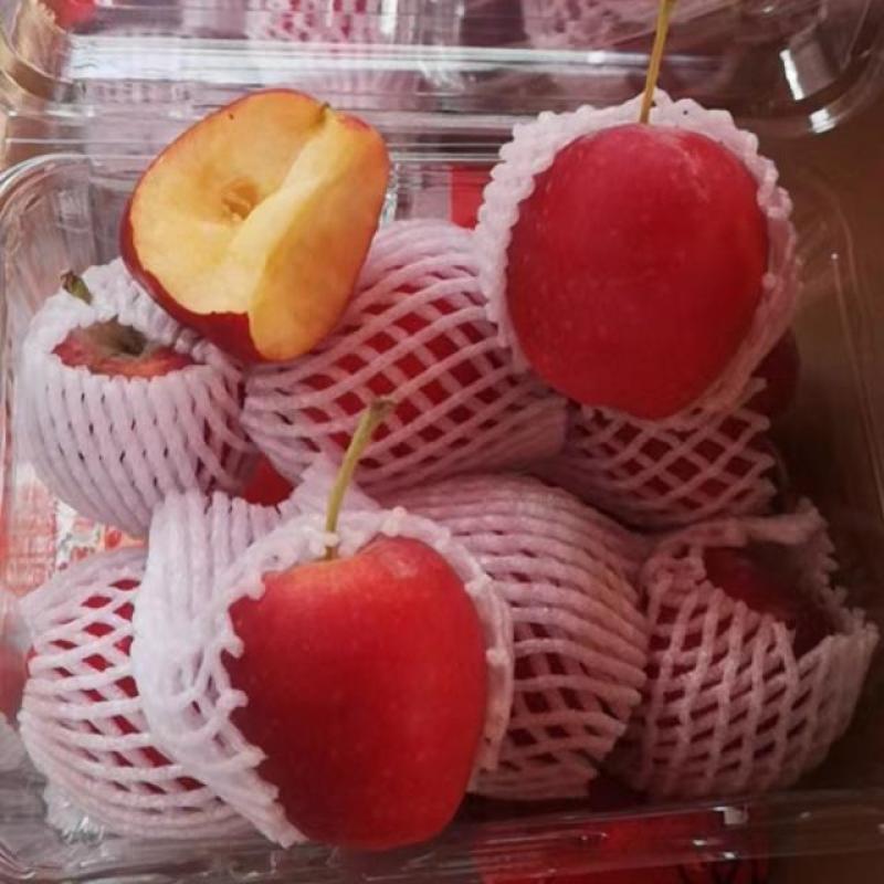 【XB】新疆香槟小苹果1箱