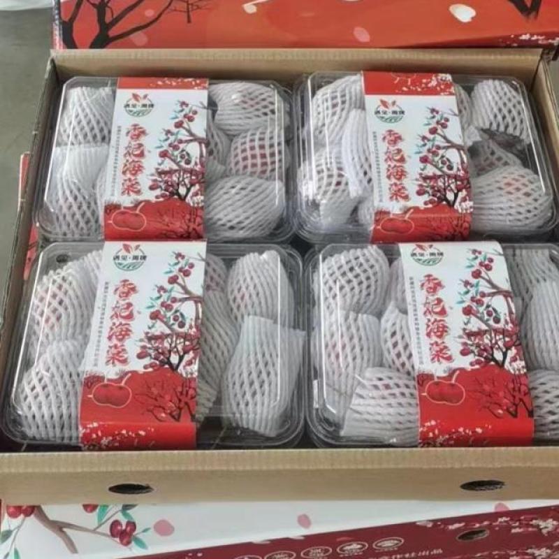 【XB】新疆香槟小苹果1箱