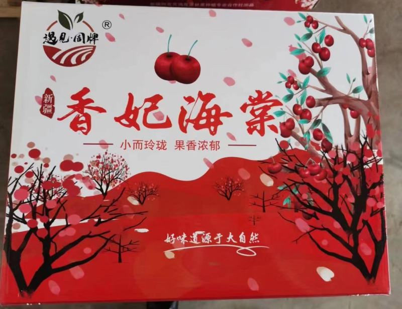 【XB】新疆香槟小苹果1箱