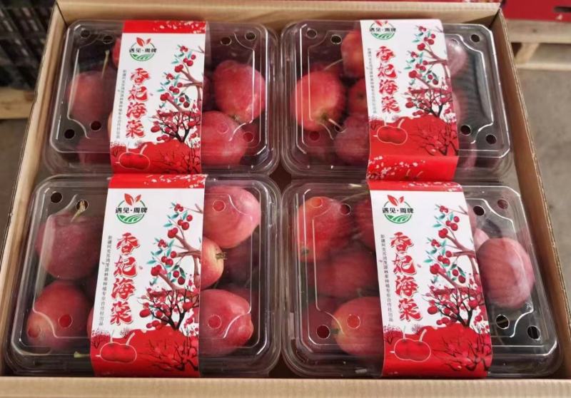 【XB】新疆香槟小苹果1箱