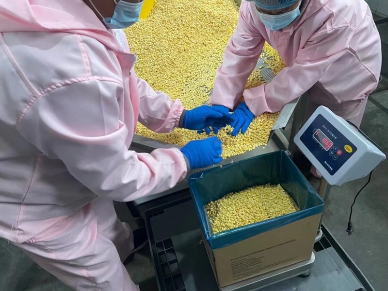 【精品】甜玉米粒货源充足大量上市保质保量品质好价格低