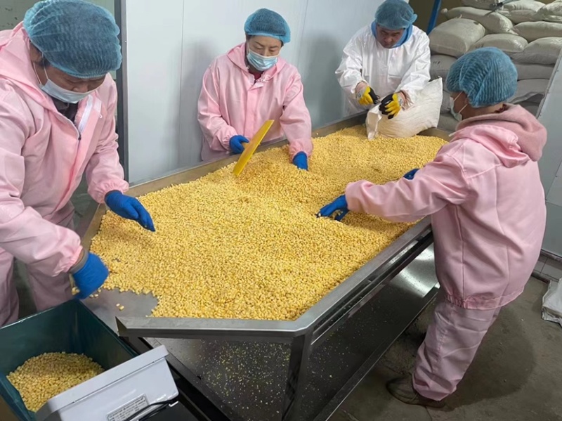【精品】甜玉米粒货源充足大量上市保质保量品质好价格低
