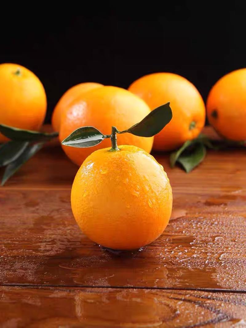 湖北橙子纽荷尔脐橙，九月红，甜橙大量供货，规格齐全