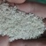 缅甸碎米，可视频看货，产地直供，支持线上保障