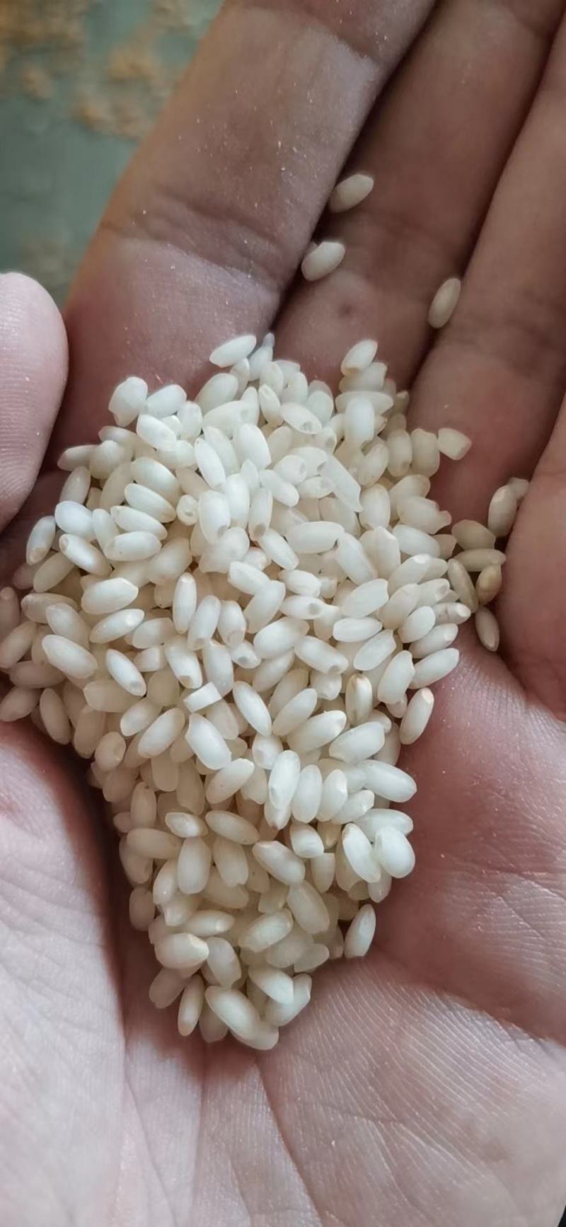 缅甸碎米，可视频看货，产地直供，支持线上保障