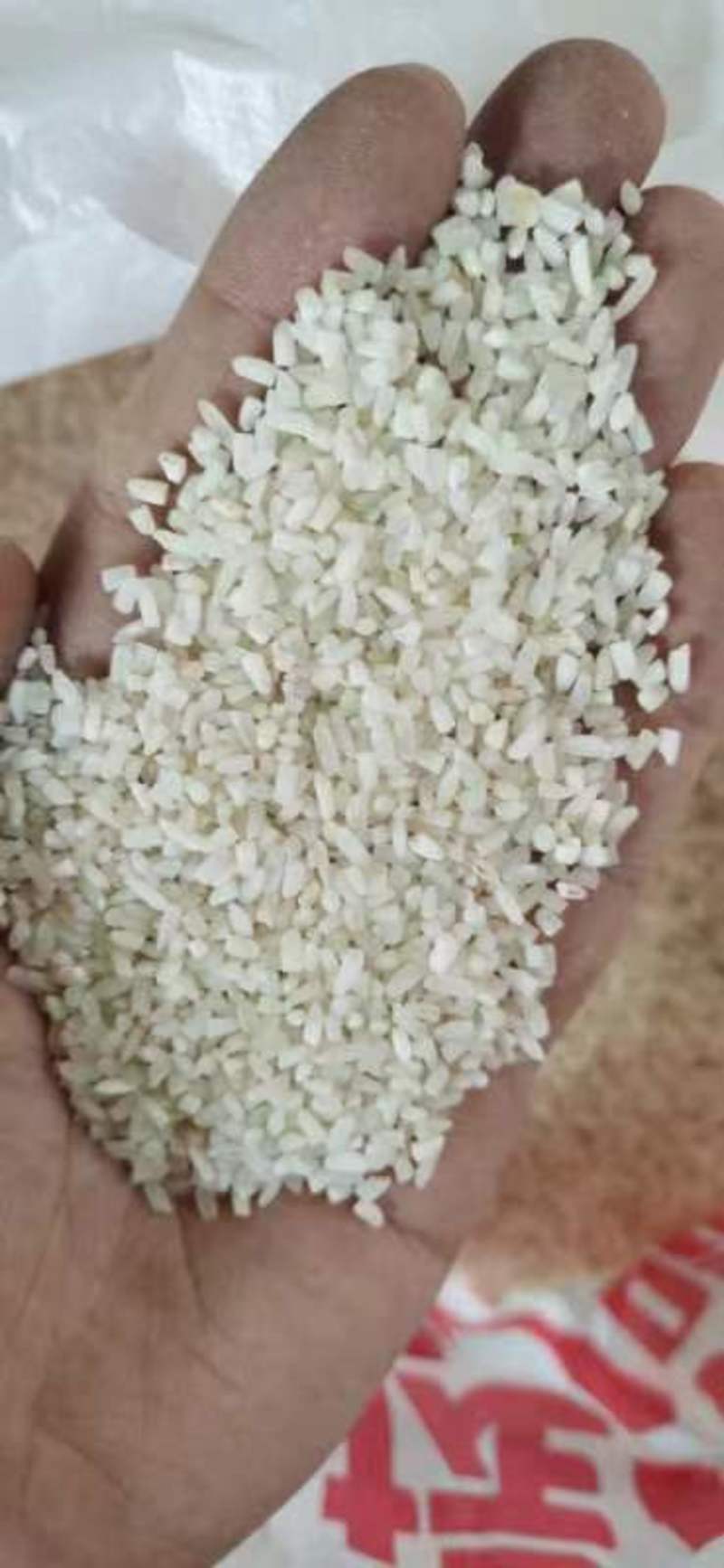 缅甸碎米，可视频看货，产地直供，支持线上保障