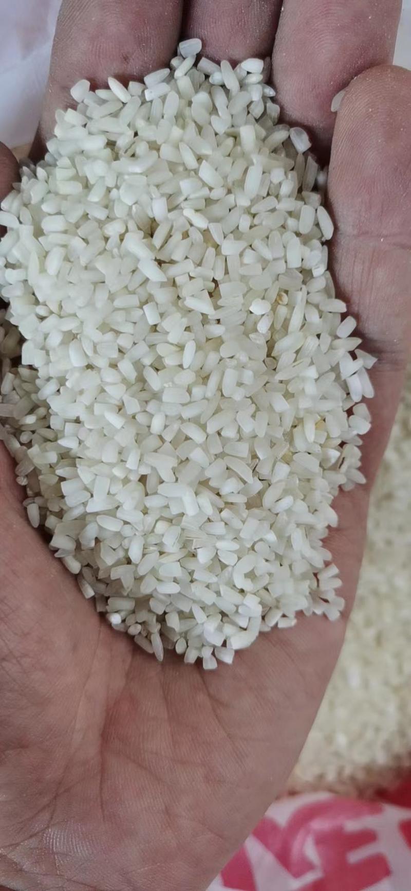 缅甸碎米，可视频看货，产地直供，支持线上保障