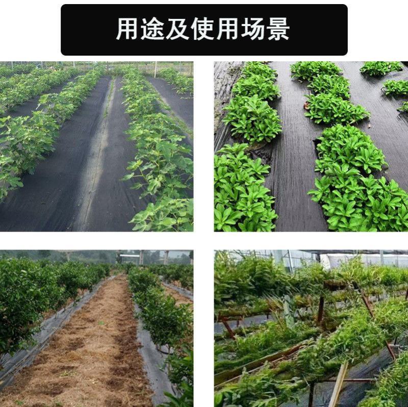 防草布，真的能防草，质量5年，园林专用，厂家直供