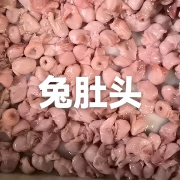 兔肚兔肚头兔肚皮新鲜纯手清洗味美汤白自产自销