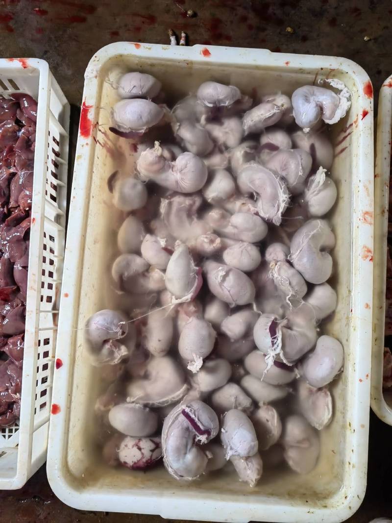 兔肚兔肚头兔肚皮新鲜纯手清洗味美汤白自产自销