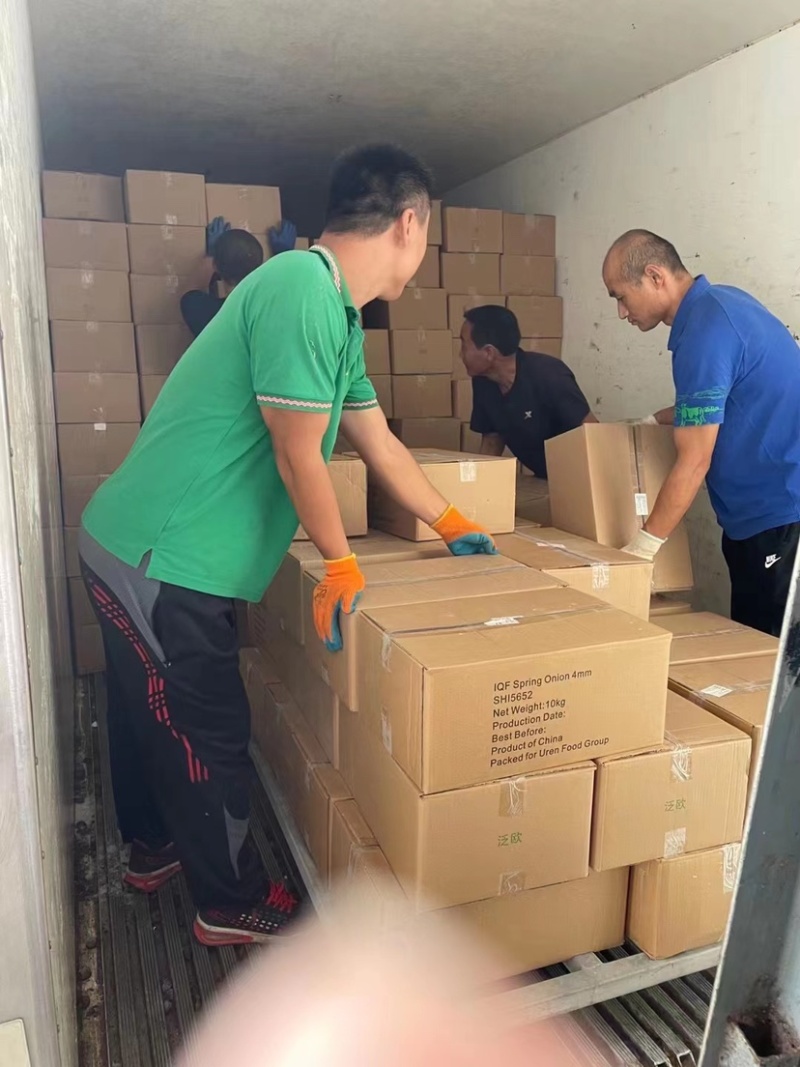 【推荐】优质洋葱品质保证货量充足保质保量欢迎老板选购