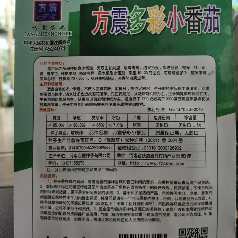 混装小番茄种子彩色西红柿番茄籽四季播阳台盆栽农家水果蔬菜