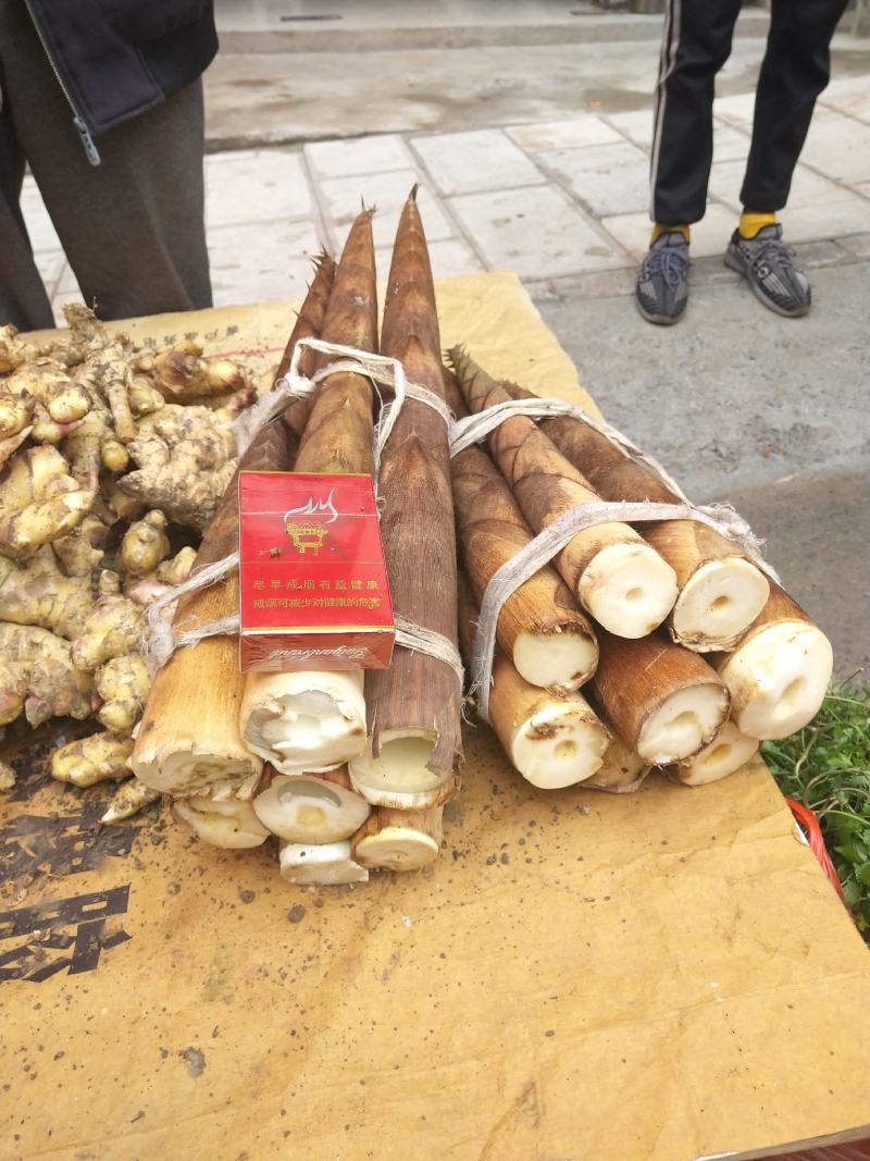 贵州六盘水八月笋方竹笋，产地一手货，货源充足，天然无添加