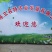 鲜胡萝卜丁新鲜营养价格优惠量大从优欢迎选购