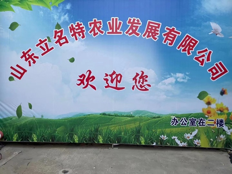 鲜胡萝卜丁新鲜营养价格优惠量大从优欢迎选购