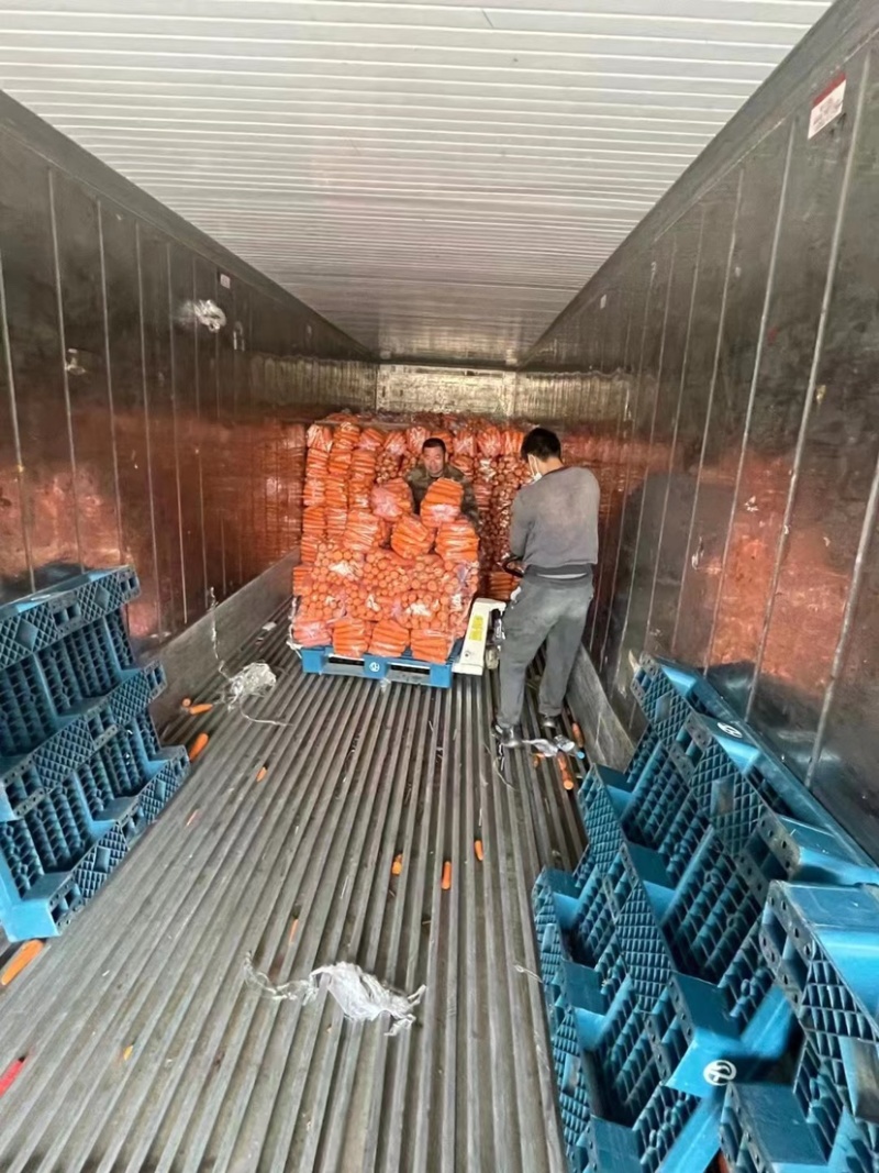 鲜胡萝卜丁新鲜营养价格优惠量大从优欢迎选购