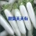 【万亩基地】云南精品白萝卜长期有货稳定货源对接饭店超市档口