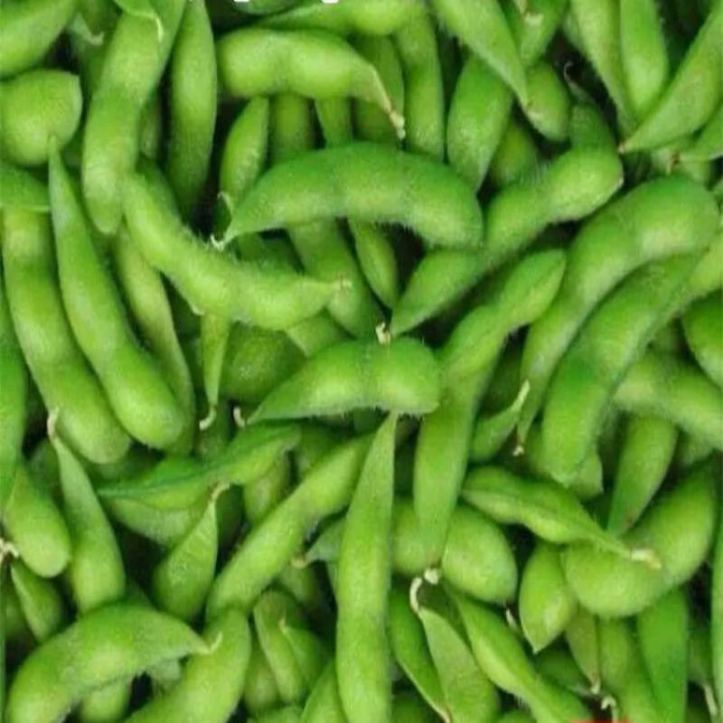 毛豆