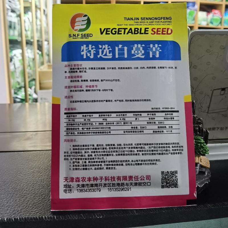 白蔓菁种子大头菜盘菜蔓菁表面光滑肉质细嫩生食炒萝卜种子