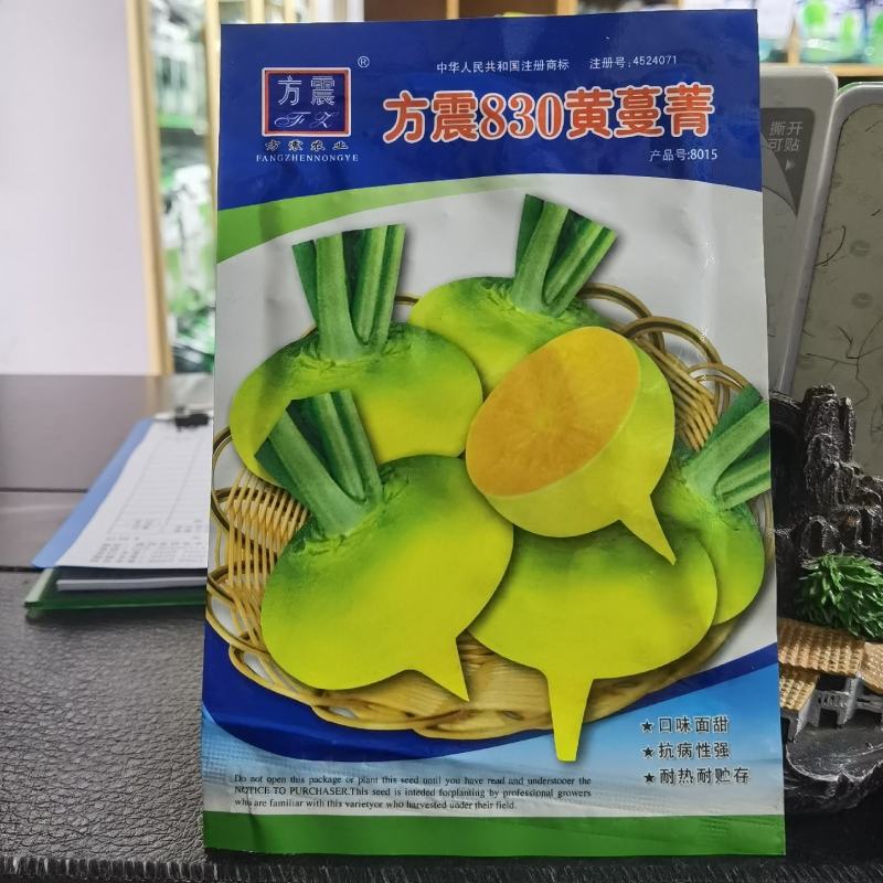 黄蔓菁种子大头菜盘菜蔓菁表面光滑肉质细嫩生食炒食萝卜种子