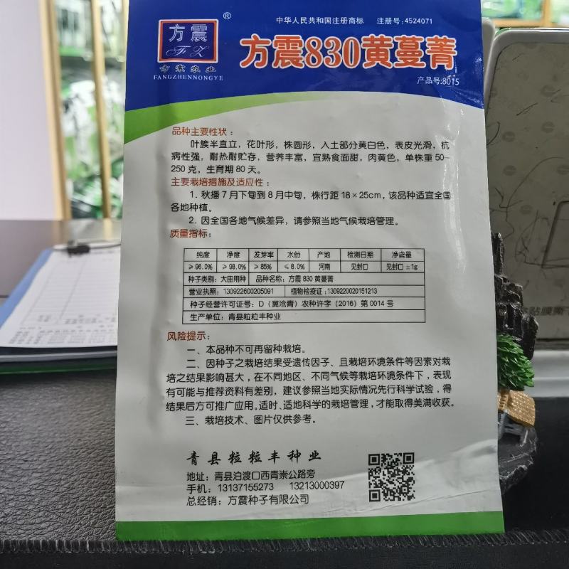黄蔓菁种子大头菜盘菜蔓菁表面光滑肉质细嫩生食炒食萝卜种子