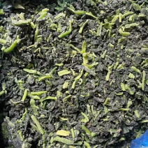 精品菠菜货量充足产地直发量大从优欢迎老板采购