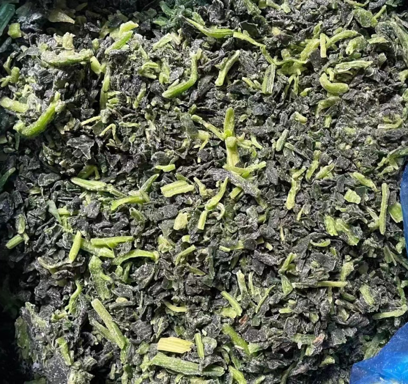 精品菠菜货量充足产地直发量大从优欢迎老板采购